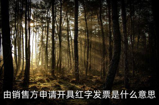 由銷售方申請(qǐng)開具紅字發(fā)票是什么意思
