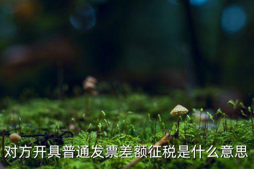對(duì)方開具普通發(fā)票差額征稅是什么意思