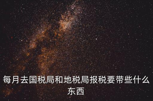 國(guó)稅大廳報(bào)稅需要什么，你好請(qǐng)教你一下如果我去國(guó)稅大廳報(bào)稅的話(huà)都需要帶什么東西填
