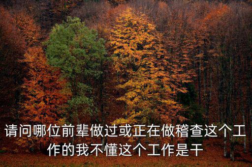 請(qǐng)問(wèn)哪位前輩做過(guò)或正在做稽查這個(gè)工作的我不懂這個(gè)工作是干