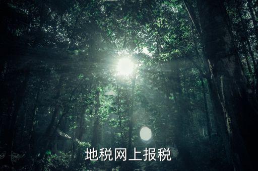 地稅網(wǎng)上需要報什么稅，網(wǎng)上報稅地稅國稅各有哪些稅種