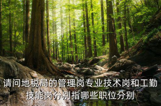 請問地稅局的管理崗專業(yè)技術崗和工勤技能崗分別指哪些職位分別