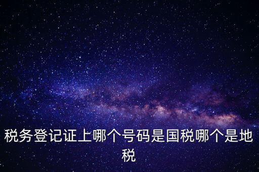 國稅地稅登記號是什么，稅務登記證上哪個號碼是國稅哪個是地稅