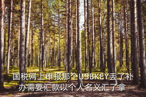 稅務ukey是什么意思，國稅網(wǎng)上申報那個USBKEY丟了補辦需要匯款以個人名義匯了拿