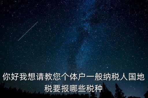 你好我想請(qǐng)教您個(gè)體戶一般納稅人國地稅要報(bào)哪些稅種