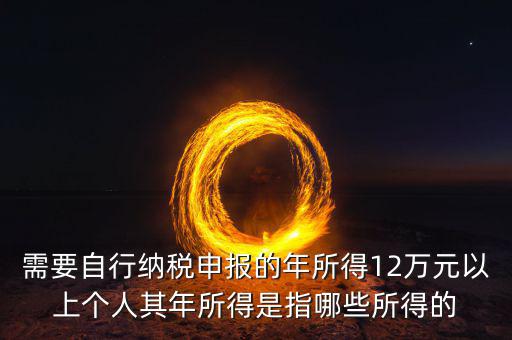 需要自行納稅申報(bào)的年所得12萬元以上個(gè)人其年所得是指哪些所得的