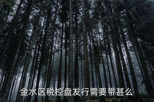 稅盤發(fā)行要帶什么資料，去國稅局辦發(fā)行需要什么資料