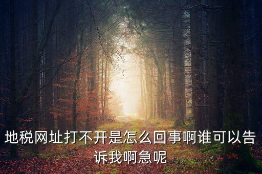 地稅網(wǎng)址打不開(kāi)是怎么回事啊誰(shuí)可以告訴我啊急呢