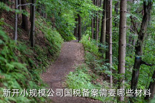 國(guó)稅備案需要什么材料，新開(kāi)小規(guī)模公司國(guó)稅備案需要哪些材料