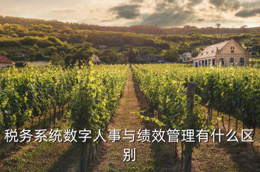 什么是稅務(wù)績效管理工作亮點，績效管理是什么