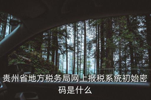 黑龍江電子稅務(wù)是什么，貴州省地方稅務(wù)局網(wǎng)上報(bào)稅系統(tǒng)初始密碼是什么