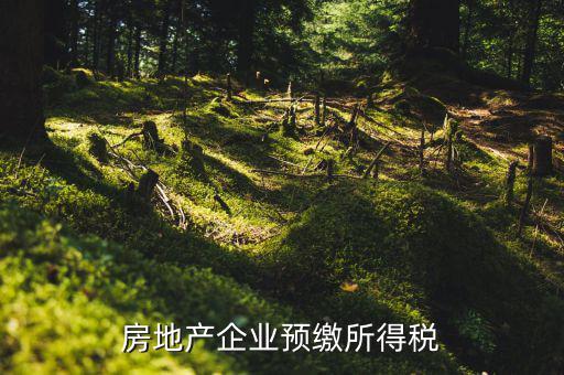 房地產(chǎn)預繳是什么意思，房價預交1萬抵2萬是什么意思