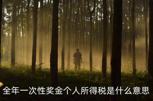全年一次性獎金個人所得稅是什么意思
