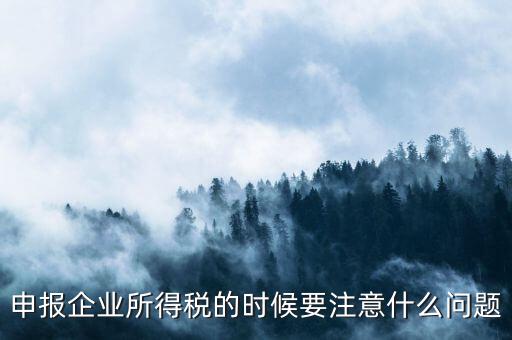 年度企業(yè)所得稅申報(bào)注意什么，申報(bào)企業(yè)所得稅的時(shí)候要注意什么問(wèn)題