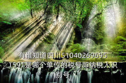 四川國稅廳帳號是什么，有誰知道四川510402696951591是哪個單位的稅號即納稅人識別號
