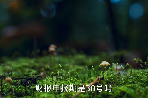 財務報表季申報是什么時候，季度財務報表時間是14710月份為什么國稅網上的季度財務報