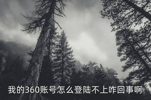 我的360賬號(hào)怎么登陸不上咋回事啊