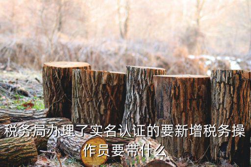 四川國稅局實(shí)名認(rèn)證需要什么資料，國稅發(fā)票認(rèn)證需要準(zhǔn)備那些資料 到大廳辦的時(shí)候工作人員叫我拿U盤