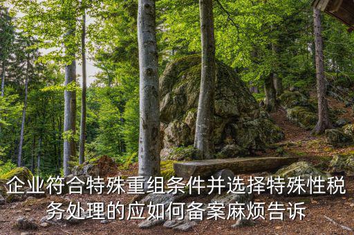 企業(yè)符合特殊重組條件并選擇特殊性稅務處理的應如何備案麻煩告訴