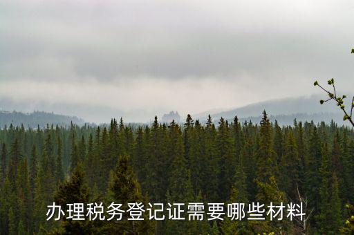 辦理稅務登記證需要哪些材料