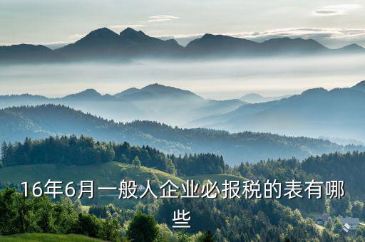 16年6月一般人企業(yè)必報(bào)稅的表有哪些