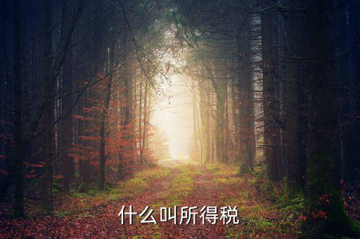 什么叫所得稅