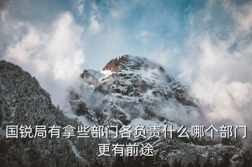 國(guó)銳局是辦什么，深圳公司入黑名單注銷吊銷