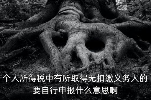 什么叫自行申報，個人所得稅中有所取得無扣繳義務(wù)人的要自行申報什么意思啊