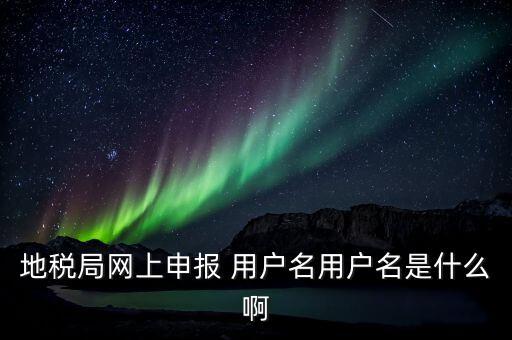 地稅局網上申報 用戶名用戶名是什么啊