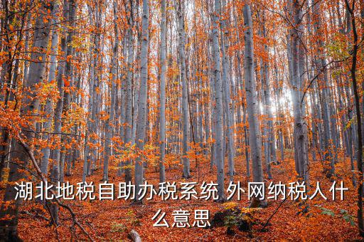 湖北地稅自助辦稅系統(tǒng) 外網(wǎng)納稅人什么意思