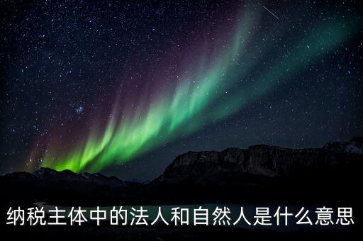稅務(wù)局自然人綁定是什么意思，納稅主體中的法人和自然人是什么意思