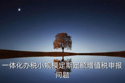 非定期定額戶申報(bào)是什么意思，一體化辦稅小規(guī)模定期定額增值稅申報(bào)問題