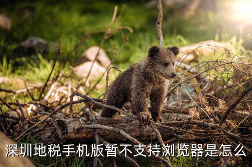深圳國稅網(wǎng)站用什么瀏覽器打開，國稅網(wǎng)為什么看不到增值稅申報(bào)表平時(shí)一打開這個(gè)頁面就可以點(diǎn)擊看