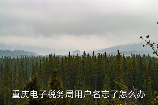 重慶電子稅務(wù)局的網(wǎng)址是什么意思，重慶市國稅電子申報委托繳稅的網(wǎng)址