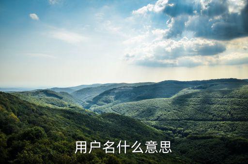 用戶(hù)名什么意思