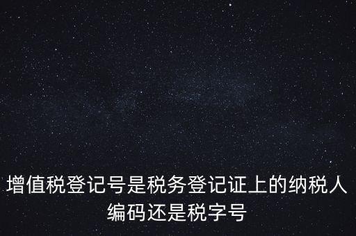 一般納稅人登記編號(hào)是什么，納稅人編號(hào)是什么