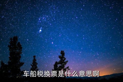 車船稅換票是什么意思啊