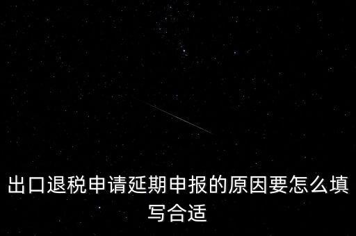 出口退稅申請延期申報(bào)的原因要怎么填寫合適