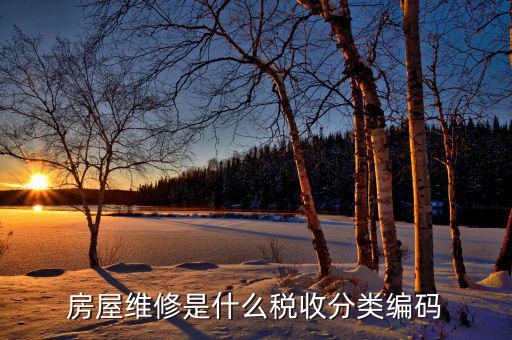 房屋維修是什么稅收分類編碼