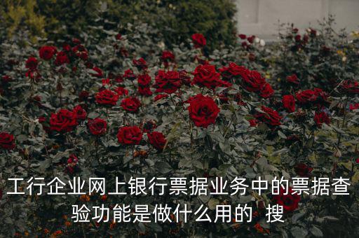 工行企業(yè)網上銀行票據業(yè)務中的票據查驗功能是做什么用的  搜