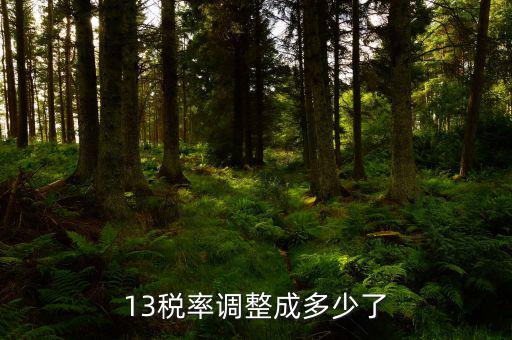 13稅率調(diào)整成多少了