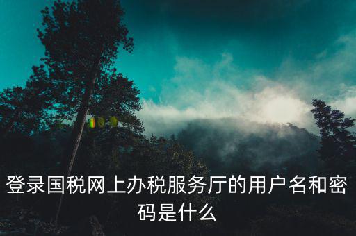 稅務(wù)查詢賬號密碼是什么意思，登錄國稅網(wǎng)上辦稅服務(wù)廳的用戶名和密碼是什么