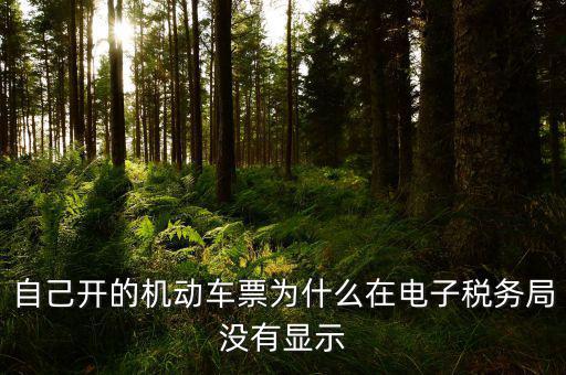 為什么登錄電子稅務(wù)局沒有反映，自己開的機動車票為什么在電子稅務(wù)局沒有顯示