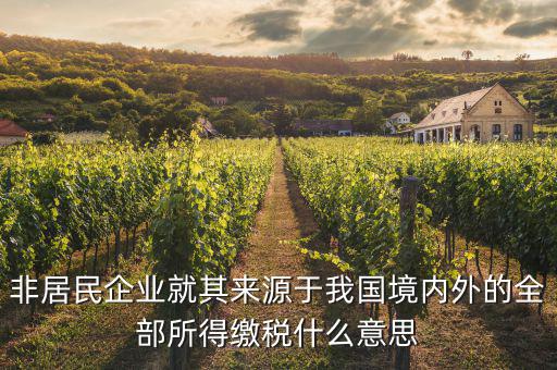 非居民企業(yè)就其來源于我國境內(nèi)外的全部所得繳稅什么意思