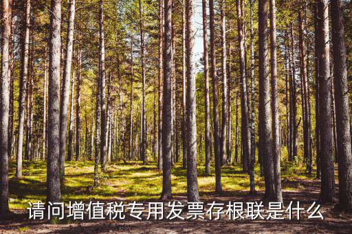 發(fā)票存根聯(lián)是什么，發(fā)票存根聯(lián)是按發(fā)票購領(lǐng)本上領(lǐng)購的本數(shù)裝訂還是25張裝訂一冊(cè)