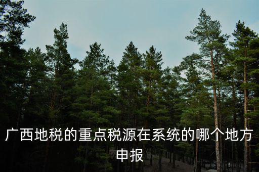 廣西地稅網(wǎng)是什么，進入廣西地稅網(wǎng)后為什么網(wǎng)上辦稅大廳會進不去