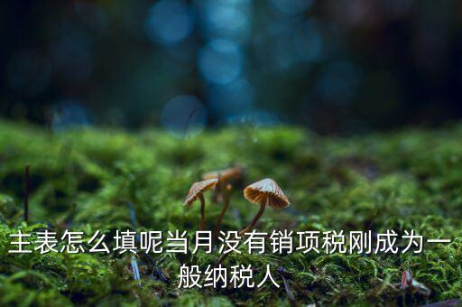 一般納稅人主表是什么意思，一般納稅人申報(bào)表主表的申明人必須輸入是什么意思