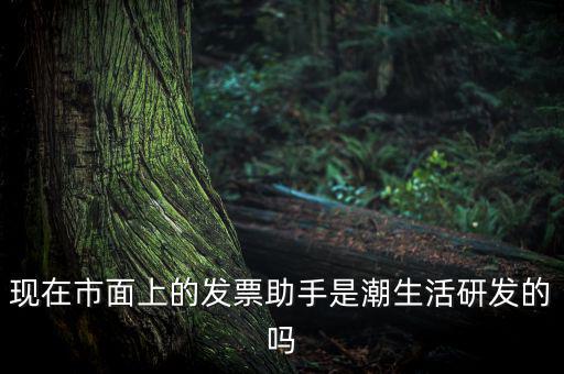 國稅發(fā)票助手是干什么的，現(xiàn)在市面上的發(fā)票助手是潮生活研發(fā)的嗎