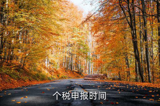 個人經(jīng)營所得稅什么時候申報，個人所得稅明細(xì)申報什么時候報