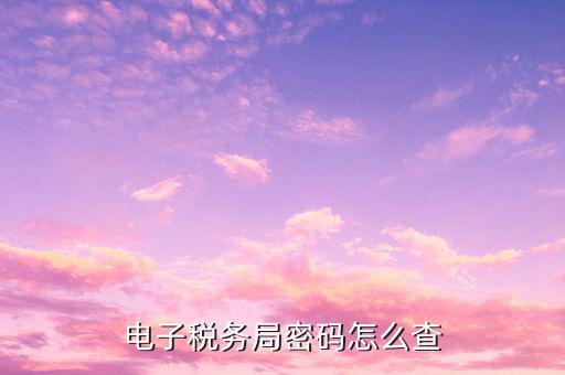國(guó)稅申報(bào)默認(rèn)密碼是什么，電子稅務(wù)局的初始密碼是多少
